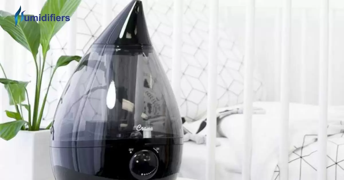 What Does A Cool Mist Humidifier Do?