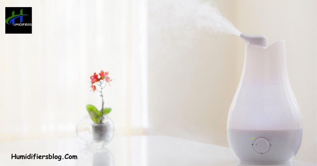 Health Risks Associated with Mold in Humidifiers