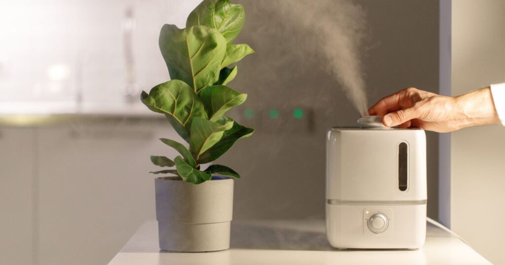 How to safely use a humidifier?