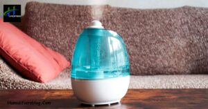 What Does Mold In Humidifier Look Like?