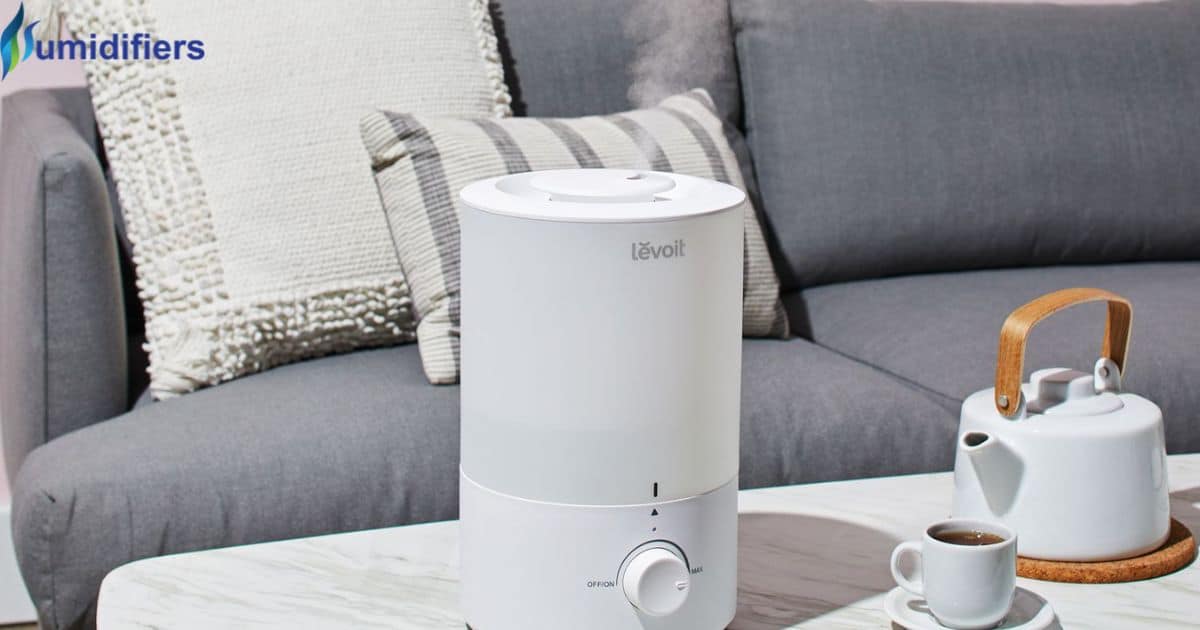Practical Tips for Effective Humidifier Management in Your Home